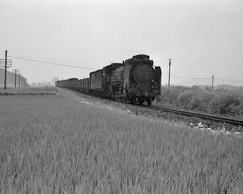 『山も霞む暑さの中を』 783列車 D51693 草津線貴生川 1970.8.6