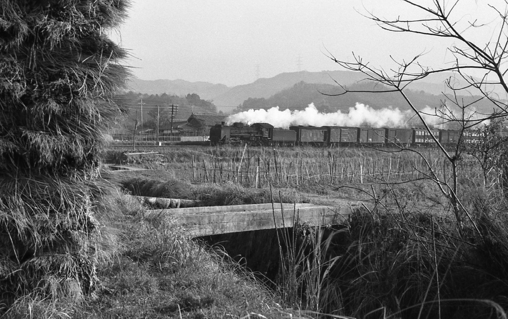 『紀州笠田の野辺を行く』 591列車 C5880 和歌山線笠田 1971.4.2