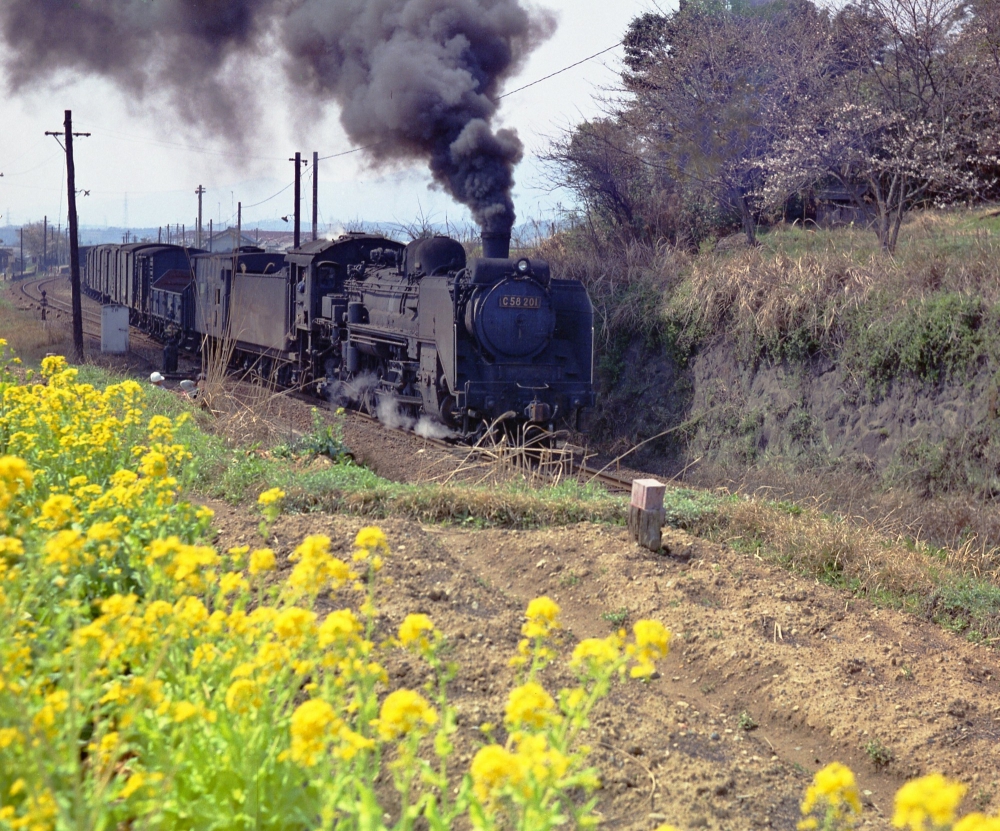 『春うらら』 592列車 C58201 和歌山線隅田 1971.4.2