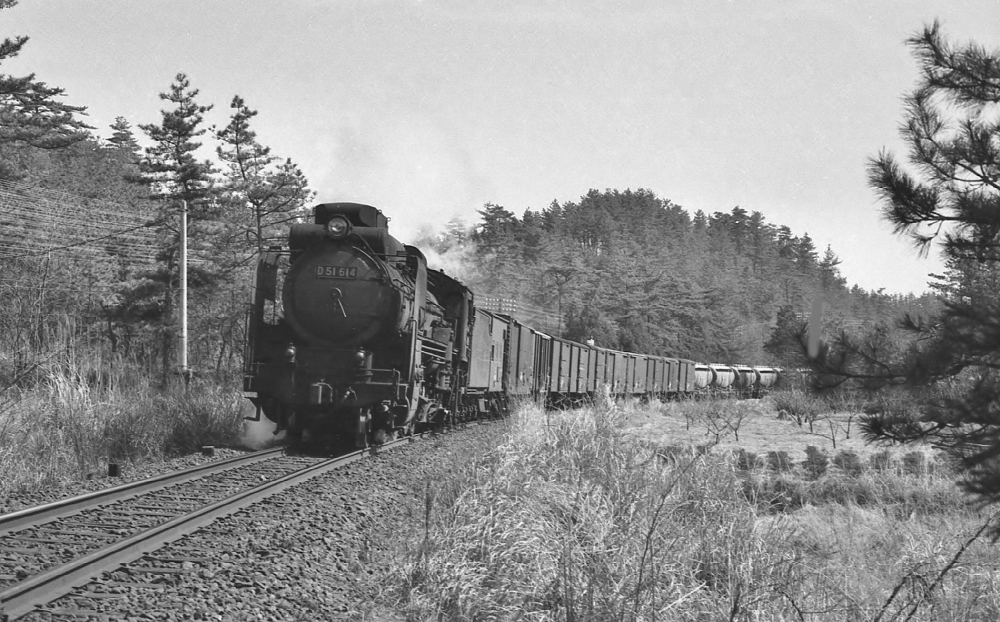 『北勢の丘陵地を行く』 1892列車 D51614 紀勢本線下庄 1973.3.27