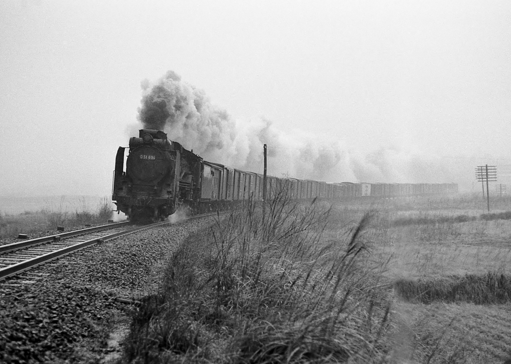 『雨にも負けず』 893列車 D51691 紀勢本線下庄 1971.3.31