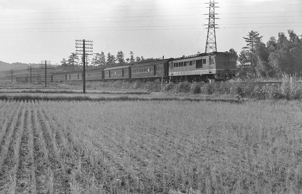 天王寺発名古屋行夜行鈍行926列車 DF505 紀勢本線徳和1970.12.20