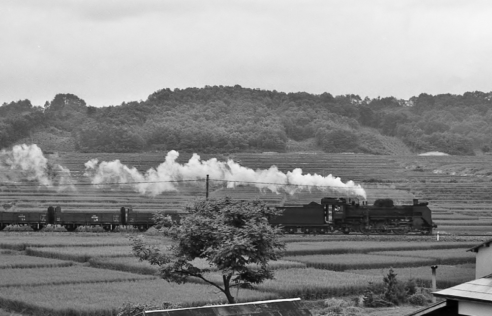 『新庄盆地を行く』 766列車 C58125 陸羽東線南新庄 1971.8.8