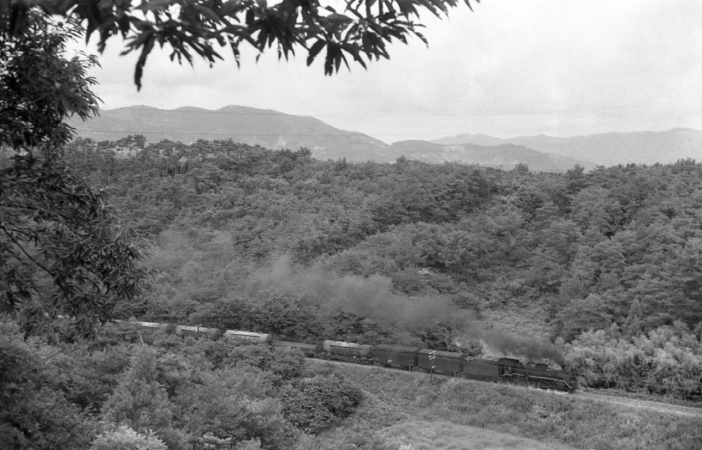 『三方が原越えに挑む』 676列車 C58 二俣線都田 1969.8.22