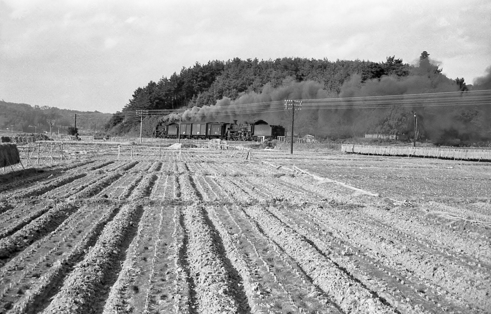 『収穫のあと』 675列車 C58219・・365 二俣線敷地 1970.11.8