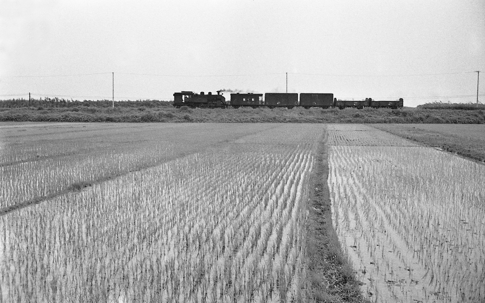 『田植えも済んで』 563列車 C11377 武豊線亀崎 1970.6.21