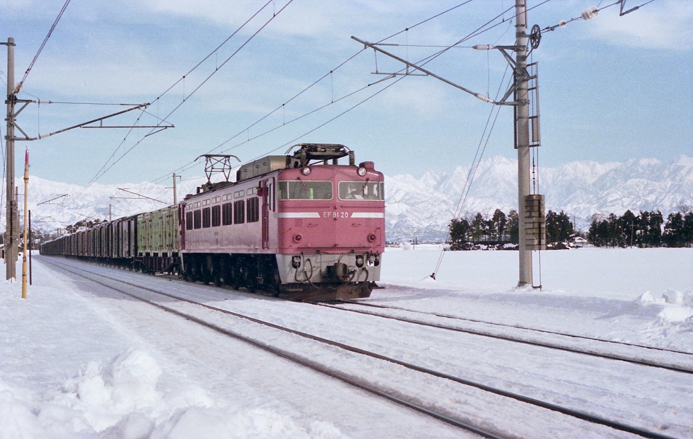 『雪晴れの富山平野を行く』 EF8120 東富山 1977年