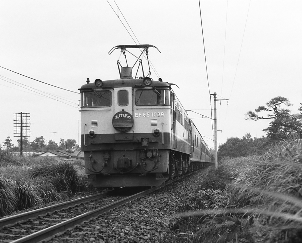 『上野へ急ぐあけぼの』 特別急行1002列車 EF651039 東北本線野木 1971.8.14