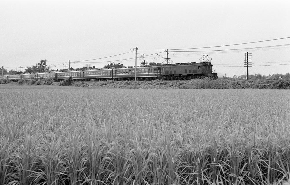 急行9123列車あづま・ばんだい51号 EF5713 東北本線野木 1971.8.14