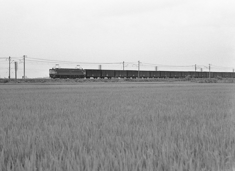 EF651030 東北本線野木 1971.8.14