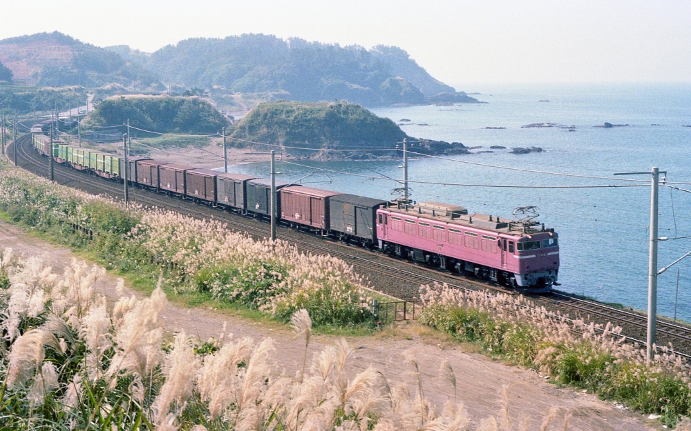 EF81 鯨波 1977.10