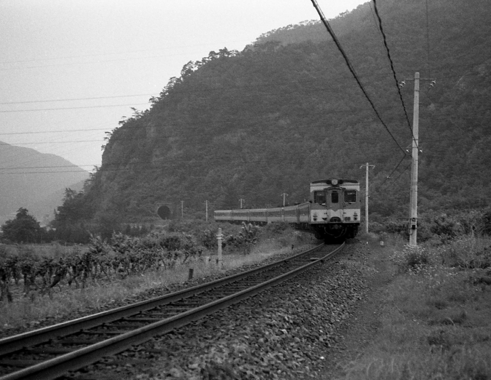 705D急行のりくら5号 キハ55 高山本線坂祝 1969.6