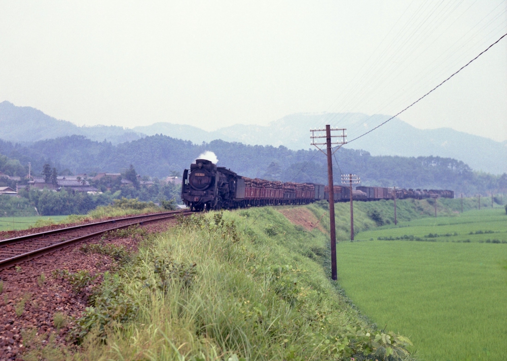 『甲賀の里を行く』 D51623 草津線貴生川 1970.8.6