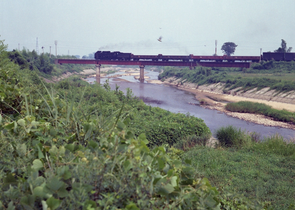 『杣川橋梁を渡る』 D51 草津線貴生川 1970.8.6