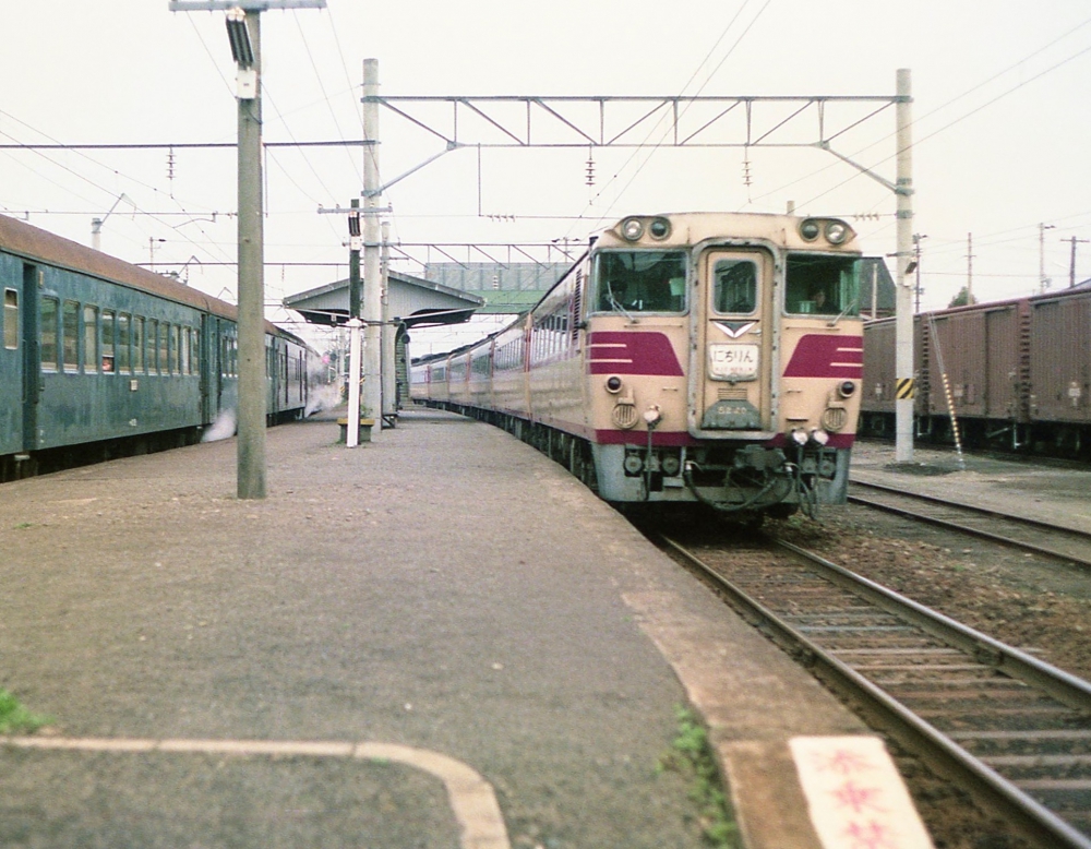 『日豊本線都農駅を通過するにちりん』 5036Dにちりん8号 82系 1977.3