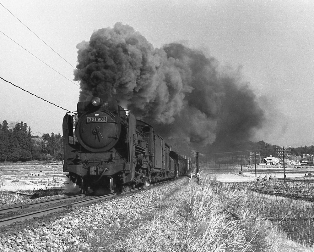 263列車 D51903 加佐登 1971.1.15