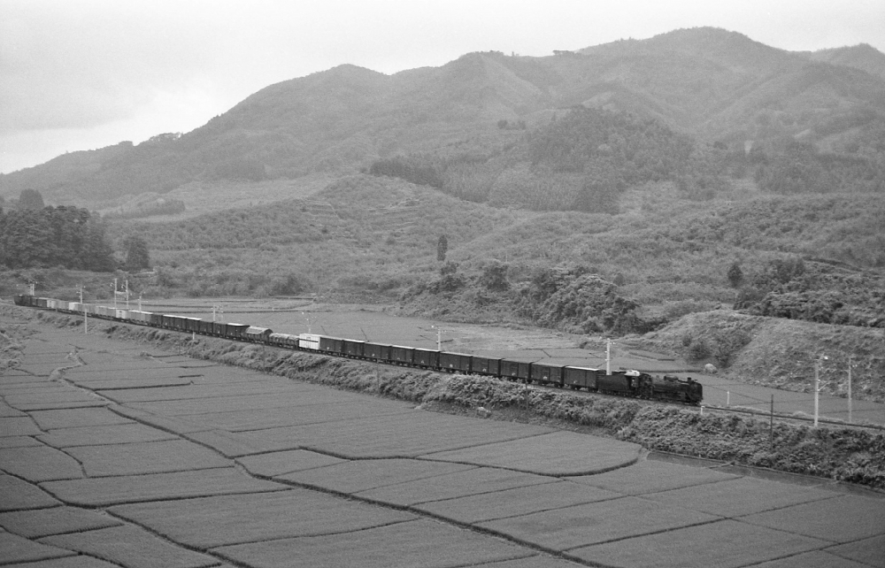 695列車 D51・・D51 奥羽本線石川 1971.8.12