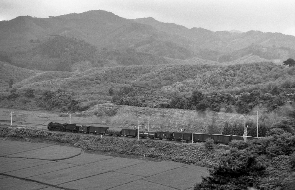 3570列車 D51 奥羽本線石川 1971.8.12