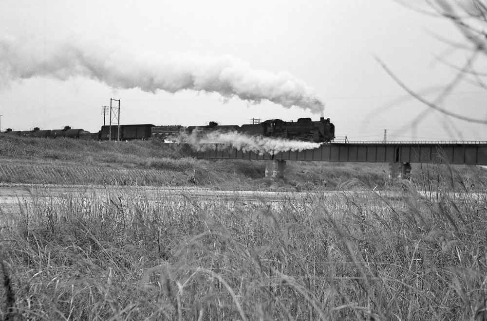 『立春の朝明川橋梁を行く』 254列車 D51203 朝明(信) 1969.2.4