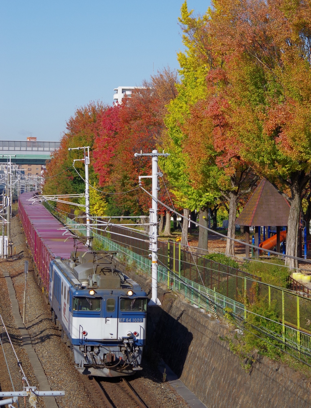 『紅葉の金山を行く』 2075列車 EF641020 中央本線金山2016.11.26