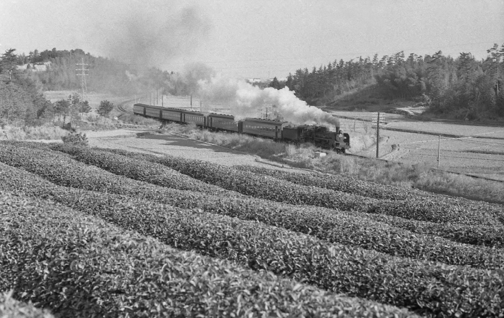 『伊勢の茶畑を行く その１』 821列車 C57198 紀勢本線徳和 1973.3.27