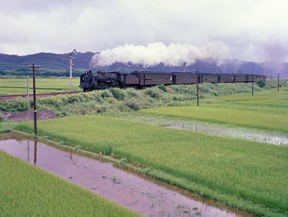 『能代の田園を行く』 823列車 C6119 奥羽本線前山 1971.8.13