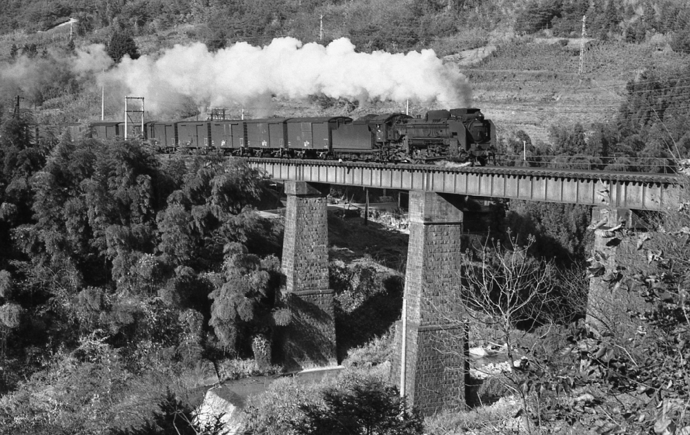 『田立の橋梁を行く』 6651列車 D51893 田立 1971.11.21