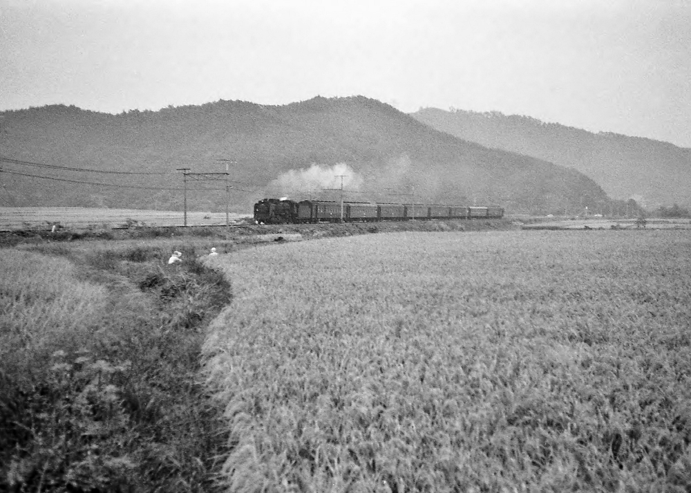 『デコイチ東海道本線を行く その４』 9433列車味覚の近江路めぐり号 D51903 新垂井 1970.10.4