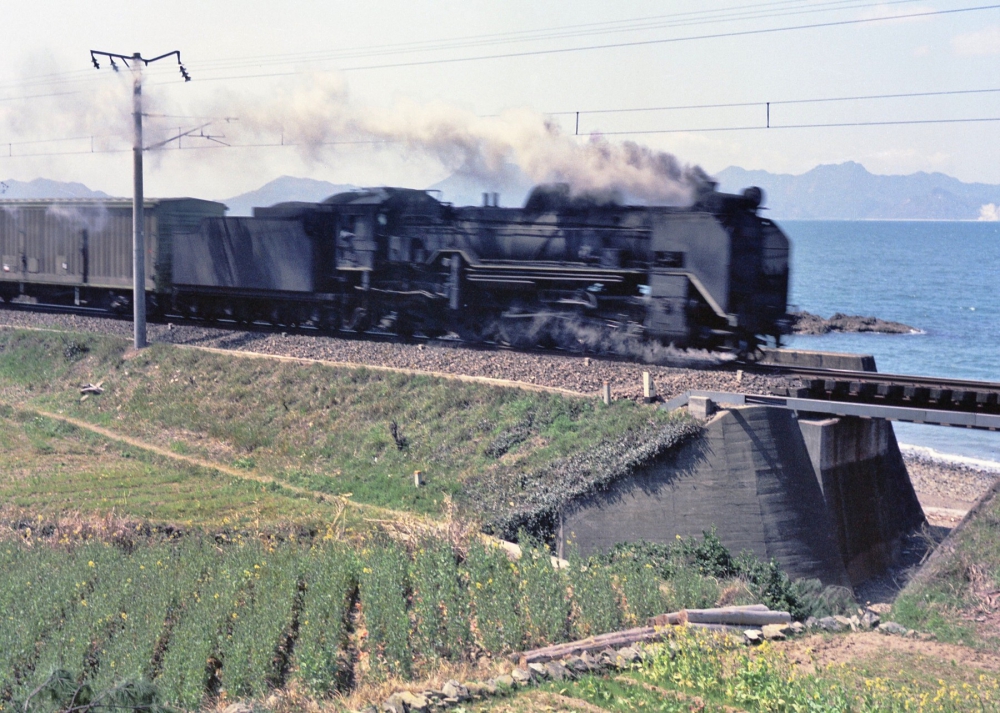 『不知火海沿いを北上する急行貨物』 急貨5062列車 D51602 鹿児島本線上田浦 1970.3.25