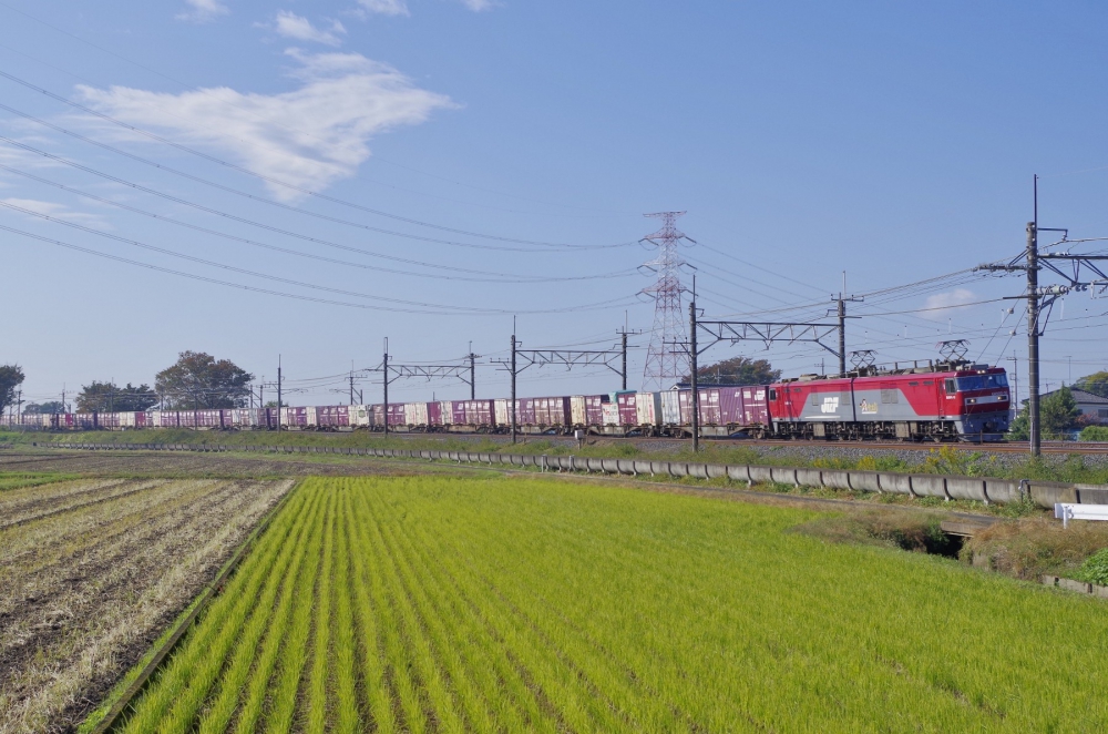 3087列車 EH500-10 東北本線栗橋 2015.11.3