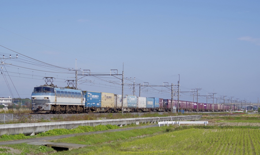 3064列車 EF66120 東北本線栗橋 2015.11.3