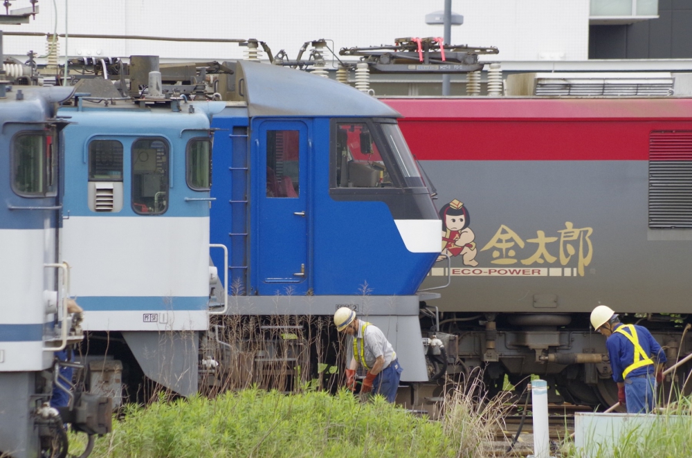 EF652127ほか 新鶴見機関区 2016.5.14