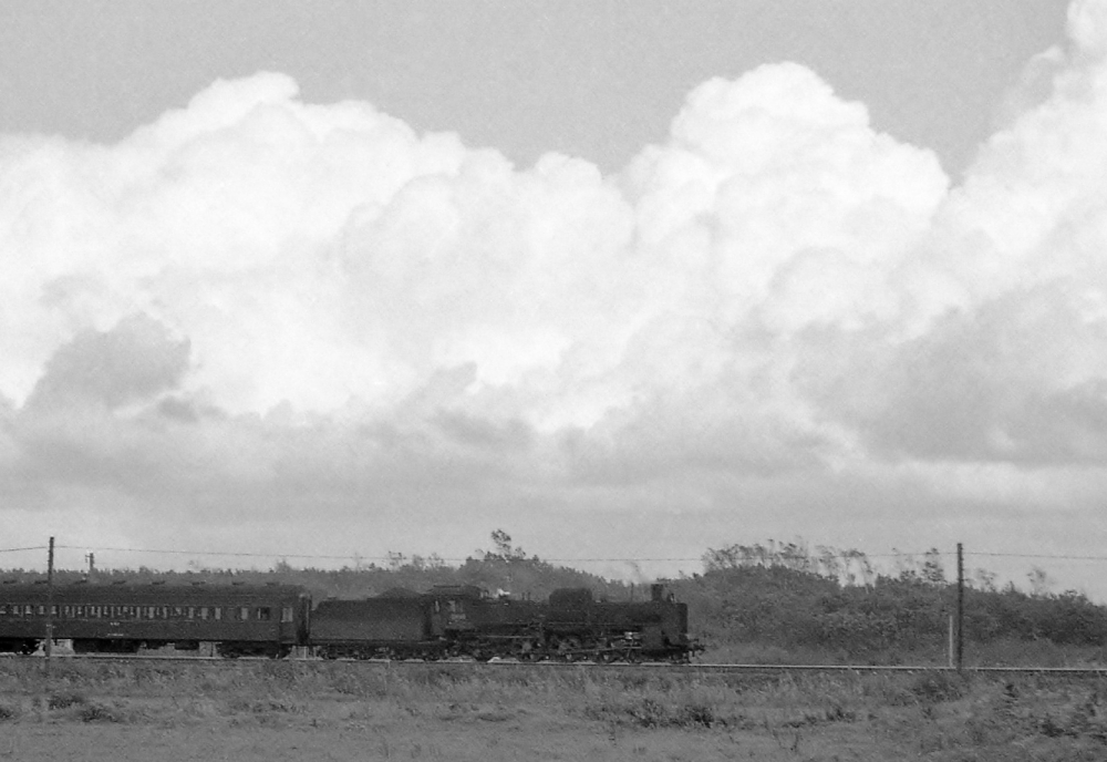 『夏雲の下を駆けゆく』 228列車 C5744 室蘭本線安平 1973.10.17