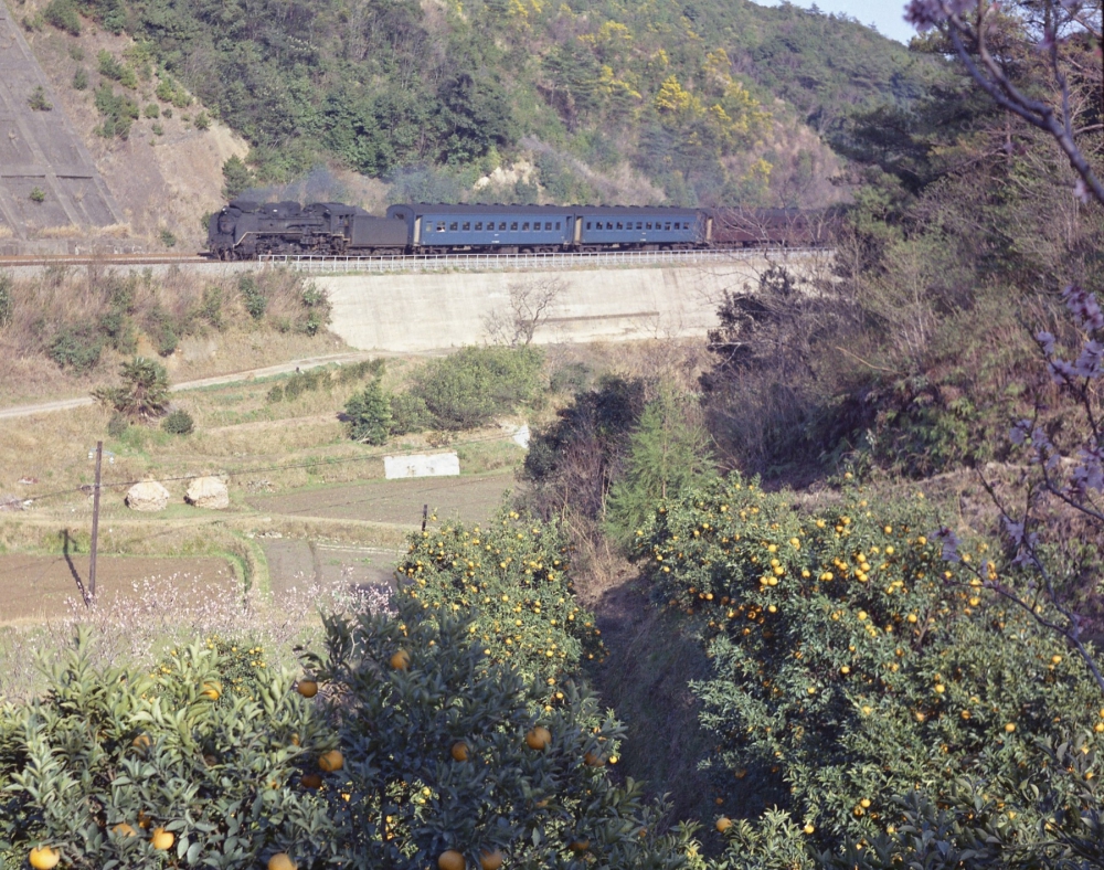『みかんのなる丘より』 325列車 C58 紀勢本線稲原 1971.4.1