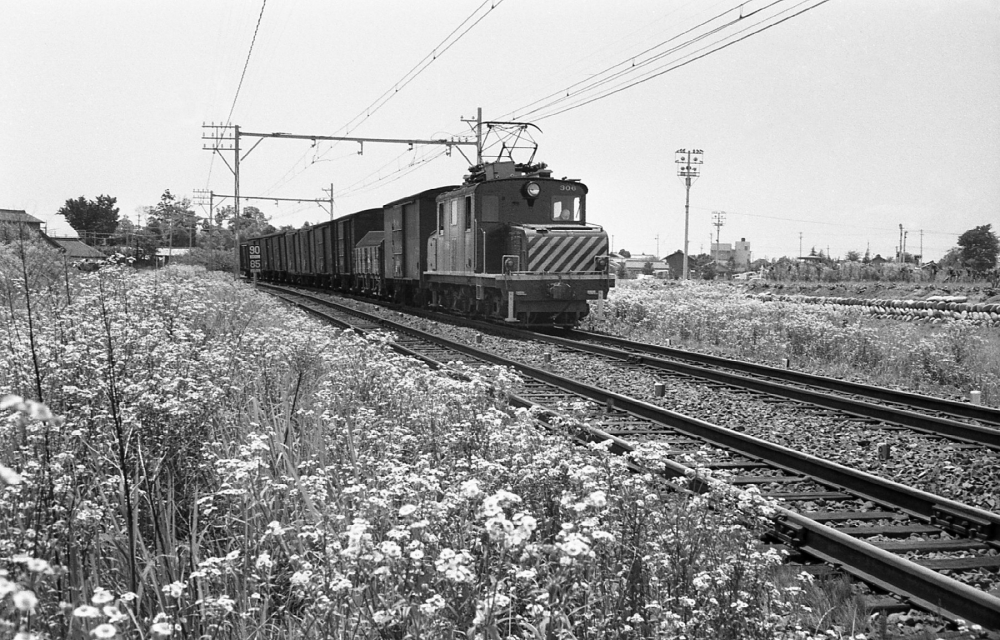 『ヒメジョオン咲く野原を行く』 221列車 デキ306 柏森 1970.7.2