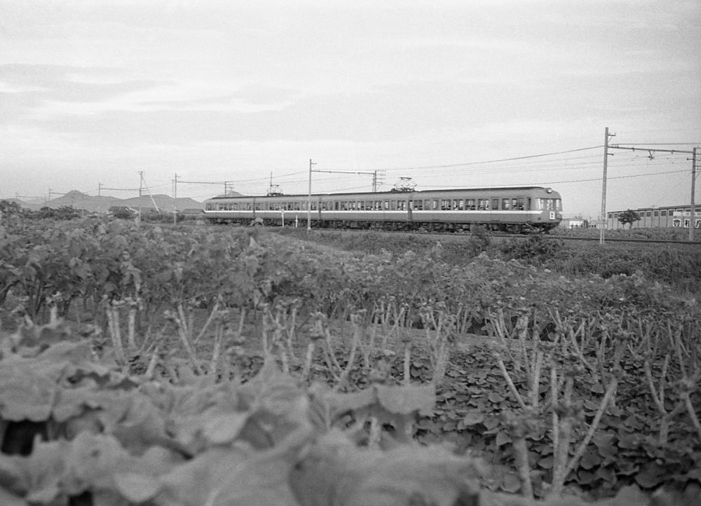 『桑畑の間を駆け抜ける』 5005ほか 柏森 1970.7.29