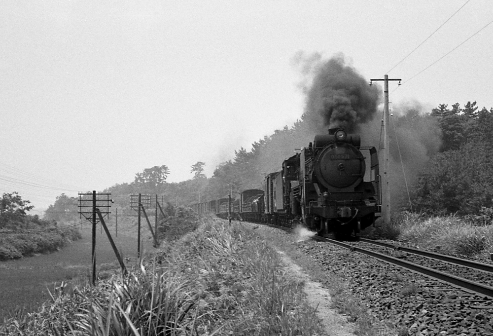 『夏は来ぬ』 262列車 D51571 鈴鹿 1970.7.26