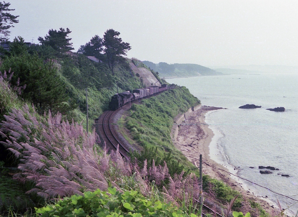 『石見津田の丘より』 862列車 D51715 山陰本線石見津田 1974.7.26