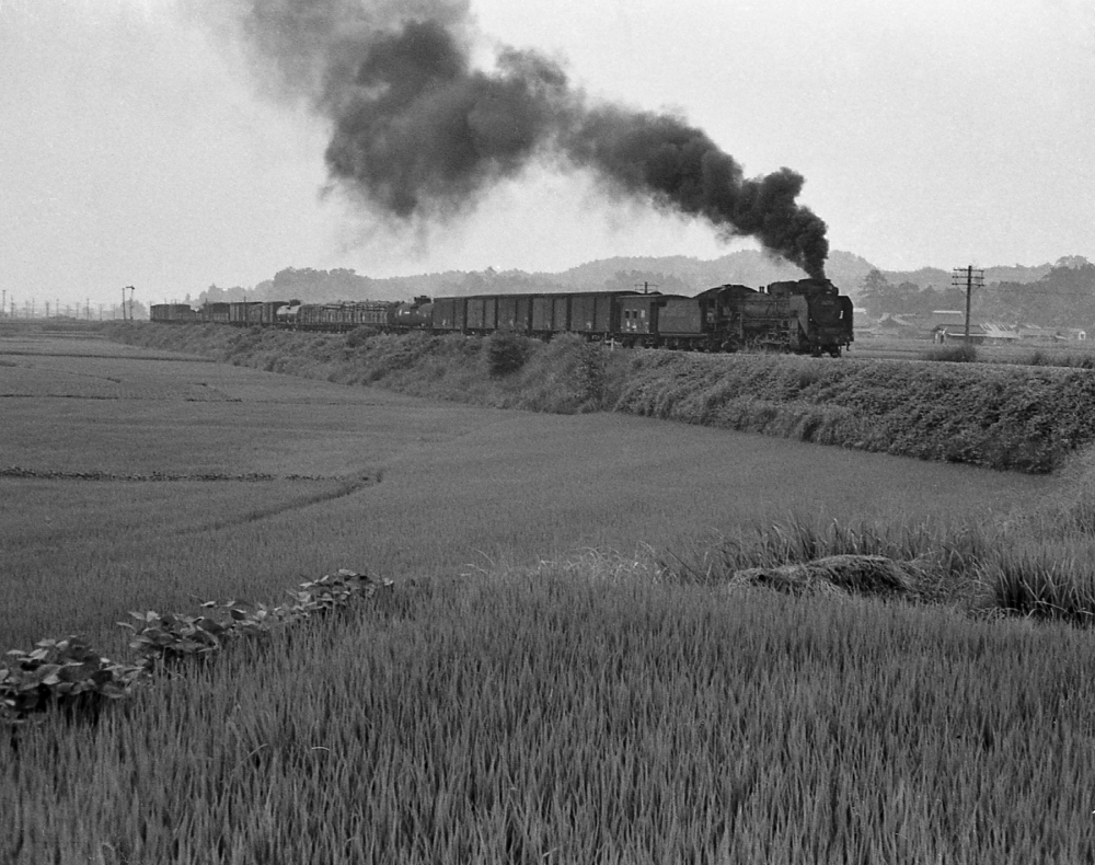 『黒煙吹き上げて』 788列車 D51718 草津線貴生川 1970.8.6