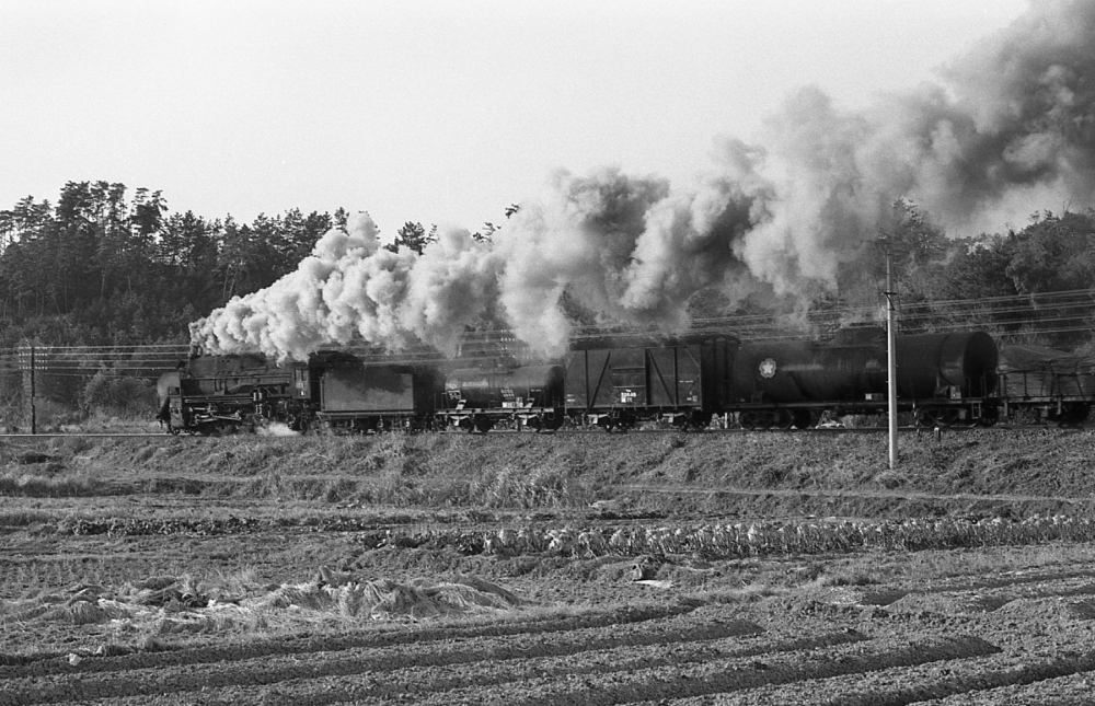 『ナメクジ快走』 265列車 D512 河原田 1971.2.7