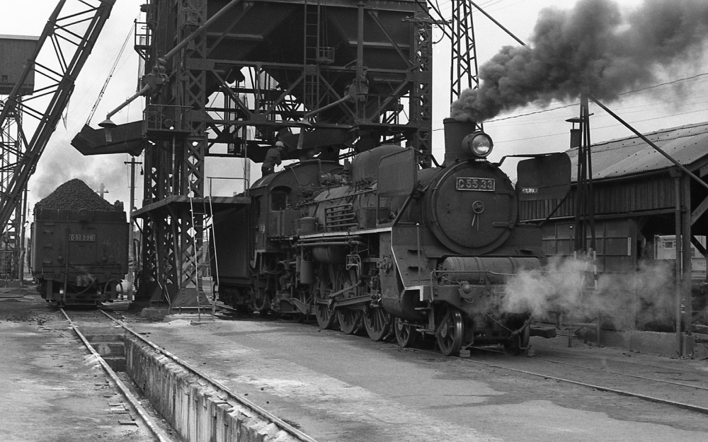 『鹿児島区に憩う』 C5533,D51206 鹿児島機関区 1970.3.26