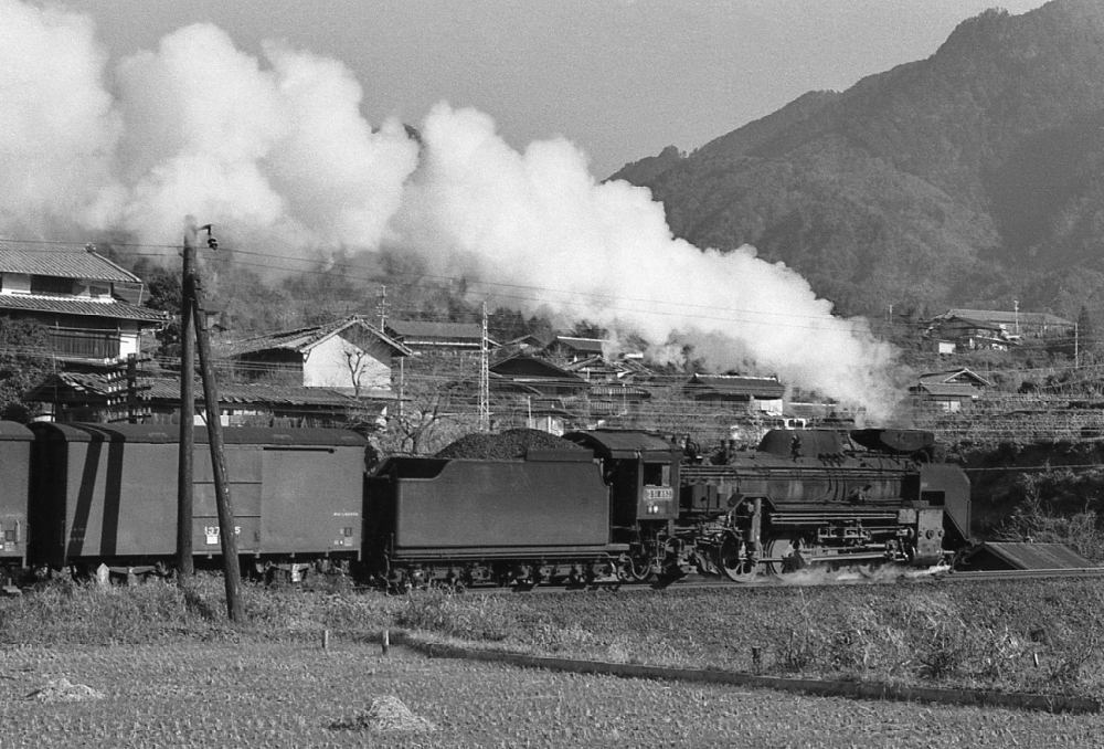 『木曾谷田立を行く』 6651列車 D51893 田立 1971.11.21