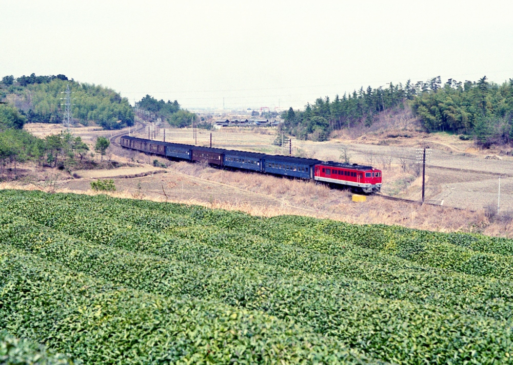 『伊勢茶の里を行く』 135列車 DF503 紀勢本線徳和 1972.3.22