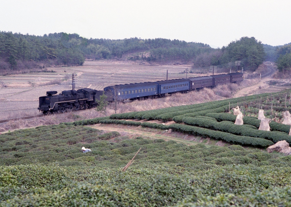 『伊勢茶の里にて』 826列車 C57146 紀勢本線徳和 1972.3.22