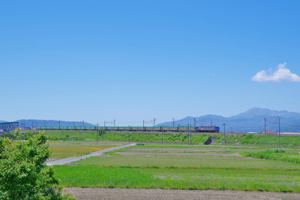 『薫風快晴』 56列車 EF200-17 穂積 2017.5.18