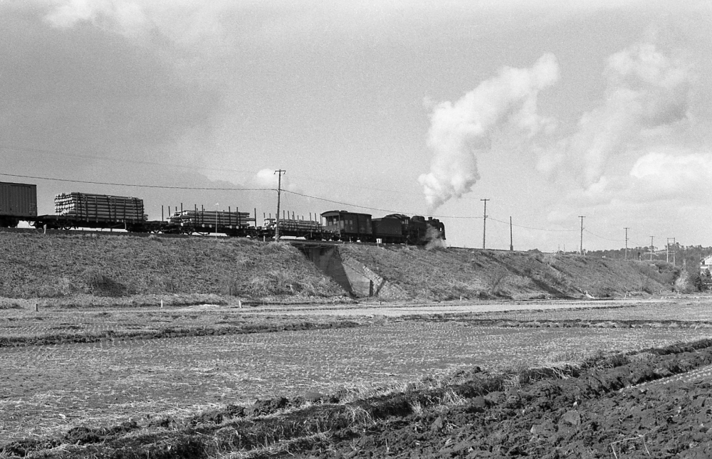 『吹き付ける鈴鹿おろしの中を』 262列車 D51 富田 1971.2.7