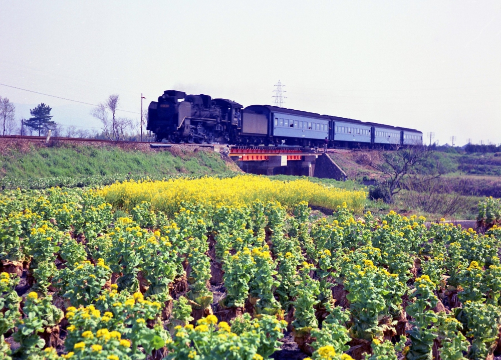 『青客を連ねて』 525列車 C58221 和歌山線下井阪 1971.4.2