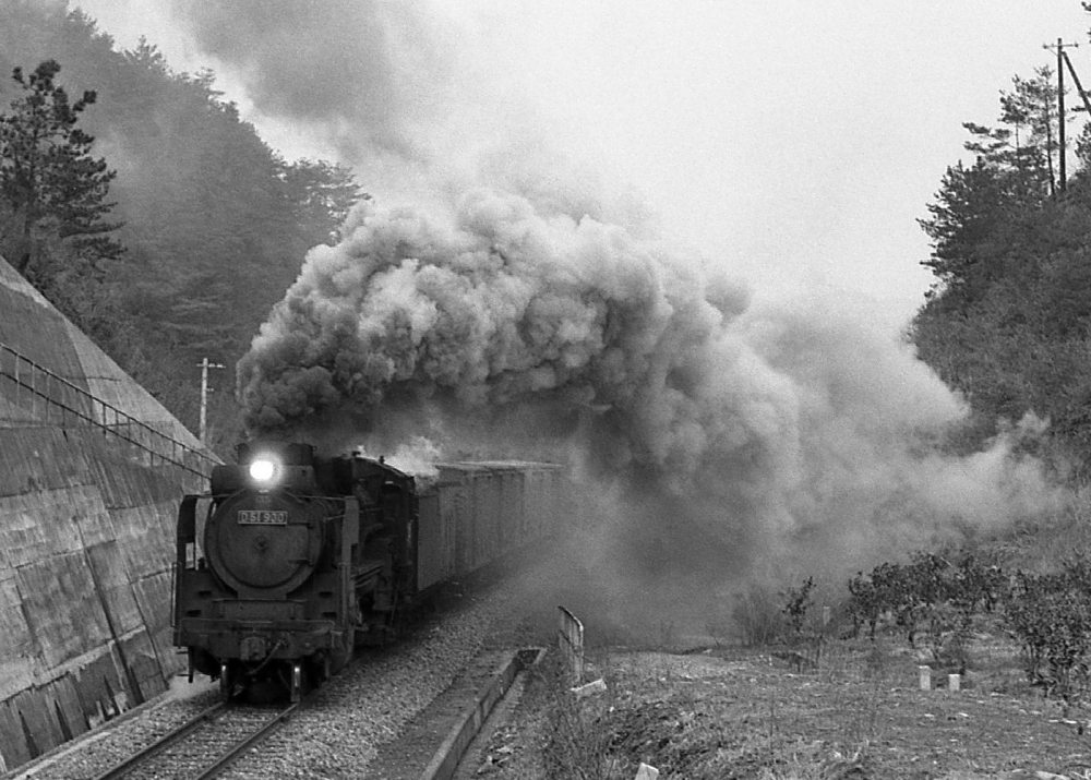 『排煙濛々と』 1382列車 D51930 紀勢本線和佐 1971.4.1