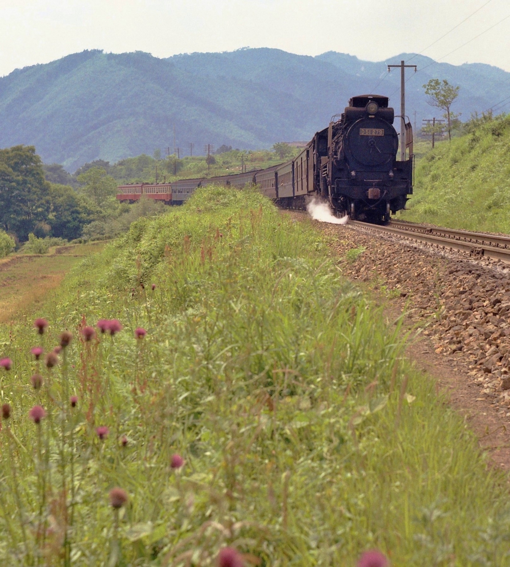 『野アザミ咲くころ』 829列車 D51279 田立 1970.5.31