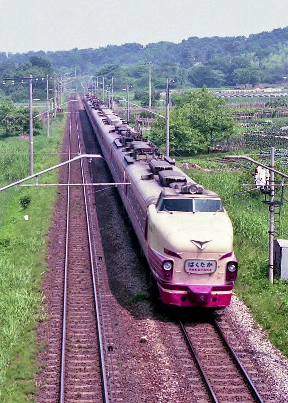 『北陸本線を行くはくたか』 481系 呉羽 1974.6.9